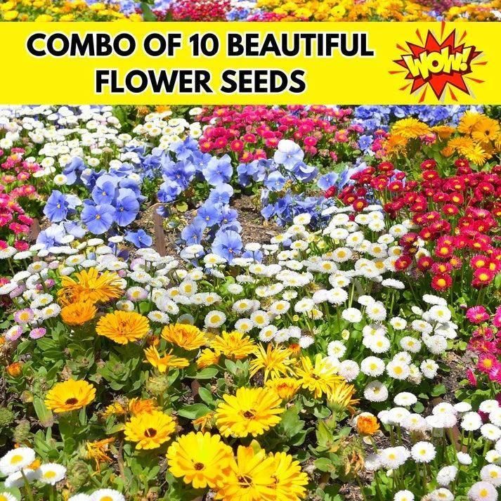Mix Flower Seed Pack of 100