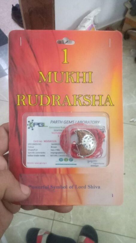The Divine One Mukhi Rudraksha For Women & Girls